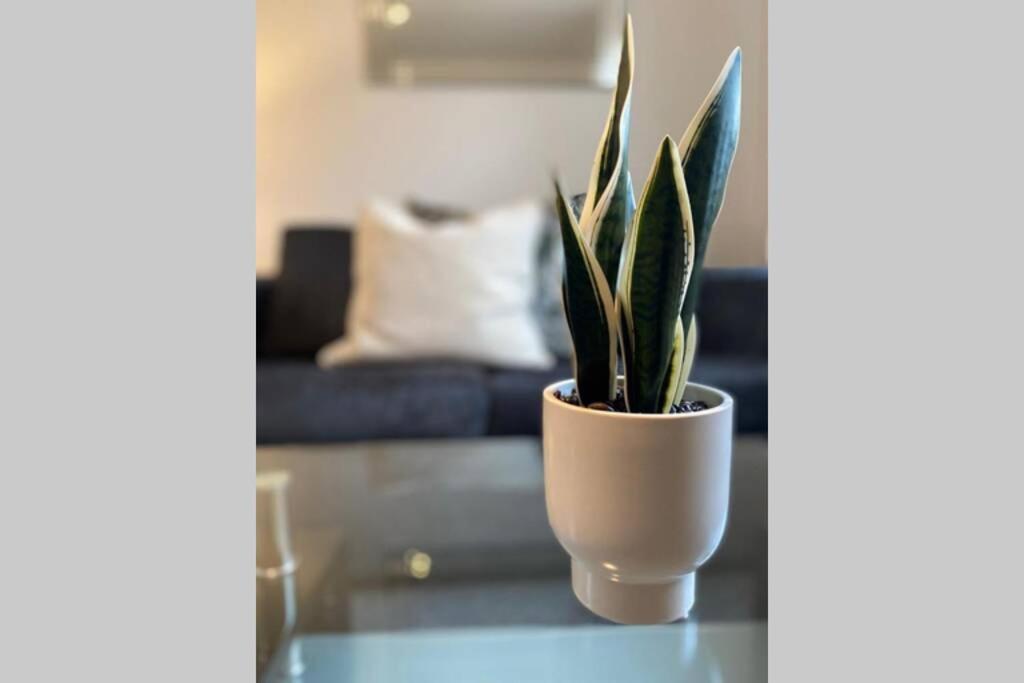 Alicia Newport By Mia Living 2 Bedroom Apartment With Dedicated Parking Zewnętrze zdjęcie
